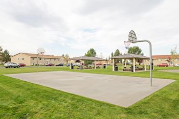 Outdoor basketball court surrounded by lush green grass.